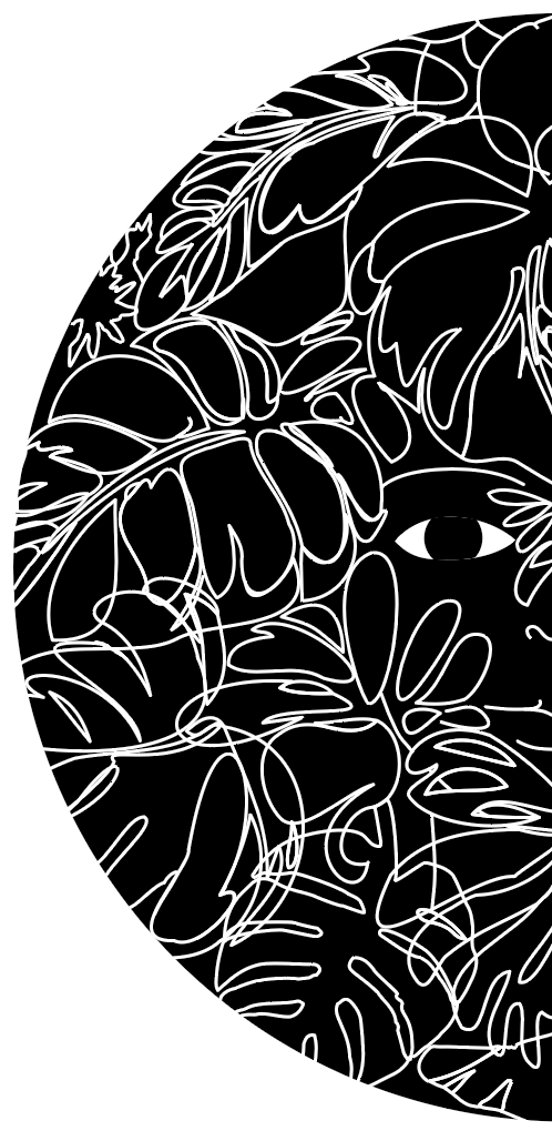 Resumen de contenidos